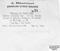 Image Associated With the Occurence